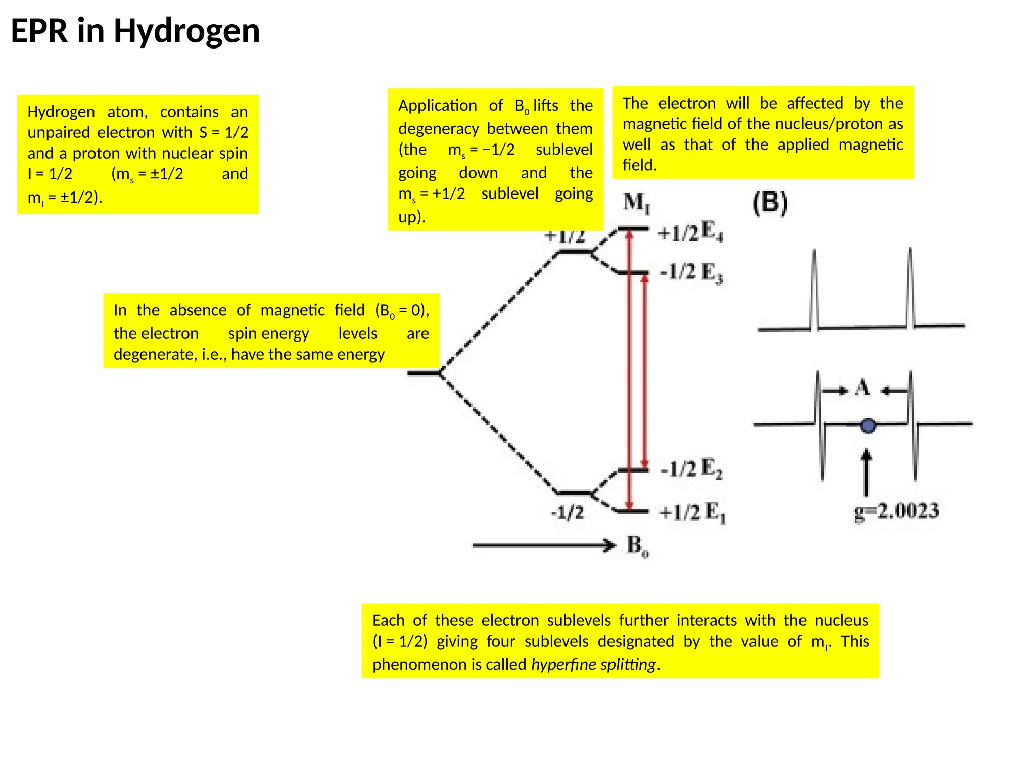 Esr Basic Unit ESR spectroscopy basic principle and applications.pptx