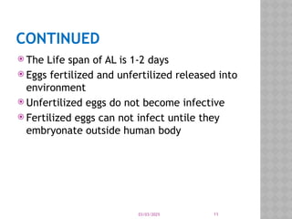 03/03/2025 11
CONTINUED
 The Life span of AL is 1-2 days
 Eggs fertilized and unfertilized released into
environment
 Unfertilized eggs do not become infective
 Fertilized eggs can not infect untile they
embryonate outside human body
 