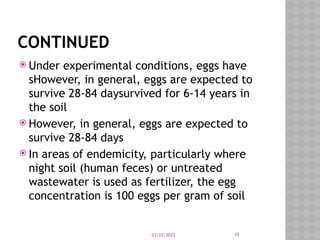 03/03/2025 15
CONTINUED
 Under experimental conditions, eggs have
sHowever, in general, eggs are expected to
survive 28-84 daysurvived for 6-14 years in
the soil
 However, in general, eggs are expected to
survive 28-84 days
 In areas of endemicity, particularly where
night soil (human feces) or untreated
wastewater is used as fertilizer, the egg
concentration is 100 eggs per gram of soil
 
