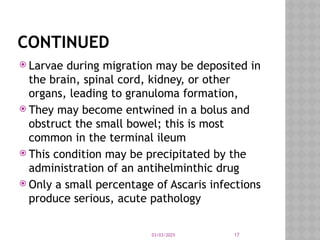 03/03/2025 17
CONTINUED
 Larvae during migration may be deposited in
the brain, spinal cord, kidney, or other
organs, leading to granuloma formation,
 They may become entwined in a bolus and
obstruct the small bowel; this is most
common in the terminal ileum
 This condition may be precipitated by the
administration of an antihelminthic drug
 Only a small percentage of Ascaris infections
produce serious, acute pathology
 