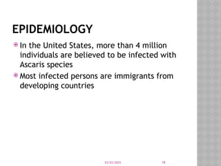 03/03/2025 18
EPIDEMIOLOGY
 In the United States, more than 4 million
individuals are believed to be infected with
Ascaris species
 Most infected persons are immigrants from
developing countries
 