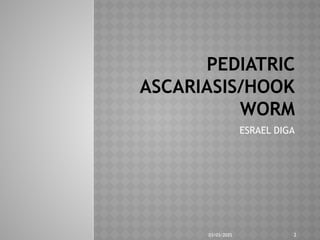 03/03/2025 2
PEDIATRIC
ASCARIASIS/HOOK
WORM
ESRAEL DIGA
 