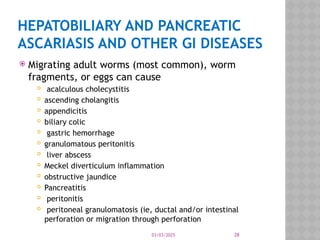 03/03/2025 28
HEPATOBILIARY AND PANCREATIC
ASCARIASIS AND OTHER GI DISEASES
 Migrating adult worms (most common), worm
fragments, or eggs can cause
 acalculous cholecystitis
 ascending cholangitis
 appendicitis
 biliary colic
 gastric hemorrhage
 granulomatous peritonitis
 liver abscess
 Meckel diverticulum inflammation
 obstructive jaundice
 Pancreatitis
 peritonitis
 peritoneal granulomatosis (ie, ductal and/or intestinal
perforation or migration through perforation
 