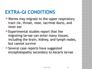 03/03/2025 29
EXTRA-GI CONDITIONS
 Worms may migrate to the upper respiratory
tract (ie, throat, nose, lacrimal ducts, and
inner ear
 Experimental studies report that the
migrating larvae can enter many tissues,
including the brain, kidney, and lymph nodes,
but cannot survive
 Several case reports have suggested
encephalopathy secondary to Ascaris larvae
 