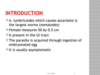 03/03/2025 4
INTRODUCTION
 A. lumbricoides which causes ascariaisis is
the largest worms (nematodes)
 Female measures 50 by 0.5 cm
 It present in the GI tract
 The parasite is acquired through ingestion of
embryonated egg
 It is usually asymptomatic
 