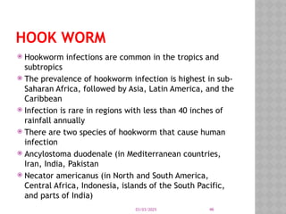 03/03/2025 46
HOOK WORM
 Hookworm infections are common in the tropics and
subtropics
 The prevalence of hookworm infection is highest in sub-
Saharan Africa, followed by Asia, Latin America, and the
Caribbean
 Infection is rare in regions with less than 40 inches of
rainfall annually
 There are two species of hookworm that cause human
infection
 Ancylostoma duodenale (in Mediterranean countries,
Iran, India, Pakistan
 Necator americanus (in North and South America,
Central Africa, Indonesia, islands of the South Pacific,
and parts of India)
 