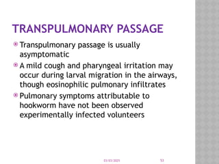 03/03/2025 53
TRANSPULMONARY PASSAGE
 Transpulmonary passage is usually
asymptomatic
 A mild cough and pharyngeal irritation may
occur during larval migration in the airways,
though eosinophilic pulmonary infiltrates
 Pulmonary symptoms attributable to
hookworm have not been observed
experimentally infected volunteers
 