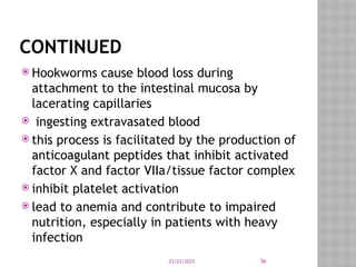 03/03/2025 56
CONTINUED
 Hookworms cause blood loss during
attachment to the intestinal mucosa by
lacerating capillaries
 ingesting extravasated blood
 this process is facilitated by the production of
anticoagulant peptides that inhibit activated
factor X and factor VIIa/tissue factor complex
 inhibit platelet activation
 lead to anemia and contribute to impaired
nutrition, especially in patients with heavy
infection
 