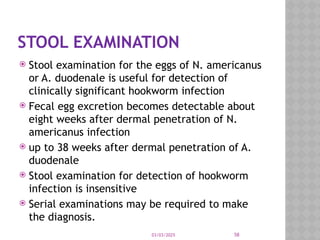 03/03/2025 58
STOOL EXAMINATION
 Stool examination for the eggs of N. americanus
or A. duodenale is useful for detection of
clinically significant hookworm infection
 Fecal egg excretion becomes detectable about
eight weeks after dermal penetration of N.
americanus infection
 up to 38 weeks after dermal penetration of A.
duodenale
 Stool examination for detection of hookworm
infection is insensitive
 Serial examinations may be required to make
the diagnosis.
 