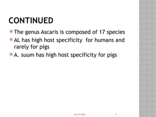 03/03/2025 7
CONTINUED
 The genus Ascaris is composed of 17 species
 AL has high host specificity for humans and
rarely for pigs
 A. suum has high host specificity for pigs
 