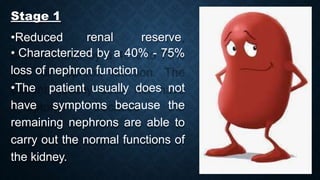 Stage 1
•Reduced renal reserve
• Characterized by a 40% - 75%
loss of nephron function
•The patient usually does not
have symptoms because the
remaining nephrons are able to
carry out the normal functions of
the kidney.
 