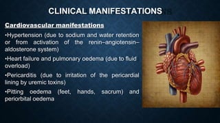 CLINICAL MANIFESTATIONS
Cardiovascular manifestations
•Hypertension (due to sodium and water retention
or from activation of the renin–angiotensin–
aldosterone system)
•Heart failure and pulmonary oedema (due to fluid
overload)
•Pericarditis (due to irritation of the pericardial
lining by uremic toxins)
•Pitting oedema (feet, hands, sacrum) and
periorbital oedema
 