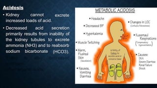 excrete
Acidosis
• Kidney cannot
increased loads of acid.
• Decreased acid secretion
primarily results from inability of
the kidney tubules to excrete
ammonia (NH3) and to reabsorb
bicarbonate (HCO3).
sodium
 