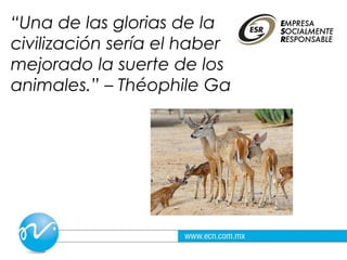 “Una de las glorias de la
civilización sería el haber
mejorado la suerte de los
animales.” – Théophile Ga
 