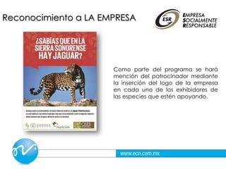 Reconocimiento a LA EMPRESA
Como parte del programa se hará
mención del patrocinador mediante
la inserción del logo de la empresa
en cada uno de los exhibidores de
las especies que estén apoyando.
 
