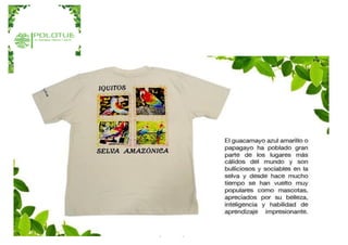 abelvargasluna@gmail.com
 