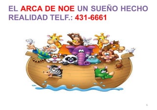 EL ARCA DE NOE UN SUEÑO HECHO
REALIDAD TELF.: 431-6661
6
 