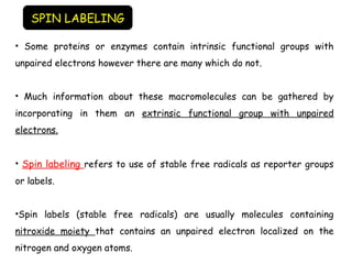 • Some proteins or enzymes contain intrinsic functional groups with
unpaired electrons however there are many which do not.
• Much information about these macromolecules can be gathered by
incorporating in them an extrinsic functional group with unpaired
electrons.
• Spin labeling refers to use of stable free radicals as reporter groups
or labels.
•Spin labels (stable free radicals) are usually molecules containing
nitroxide moiety that contains an unpaired electron localized on the
nitrogen and oxygen atoms.
SPIN LABELING
 