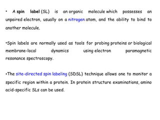 • A spin label (SL) is an organic molecule which possesses an
unpaired electron, usually on a nitrogen atom, and the ability to bind to
another molecule.
•Spin labels are normally used as tools for probing proteins or biological
membrane-local dynamics using electron paramagnetic
resonance spectroscopy.
•The site-directed spin labeling (SDSL) technique allows one to monitor a
specific region within a protein. In protein structure examinations, amino
acid-specific SLs can be used.
 