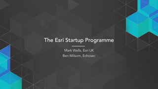 The Esri Startup Programme