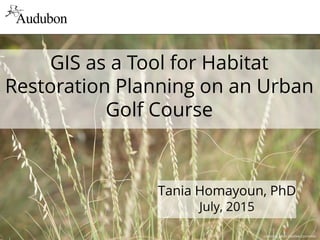 1
GIS as a Tool for Habitat
Restoration Planning on an Urban
Golf Course
Tania Homayoun, PhD
July, 2015
LostInFog, Flickr Creative Commons
 
