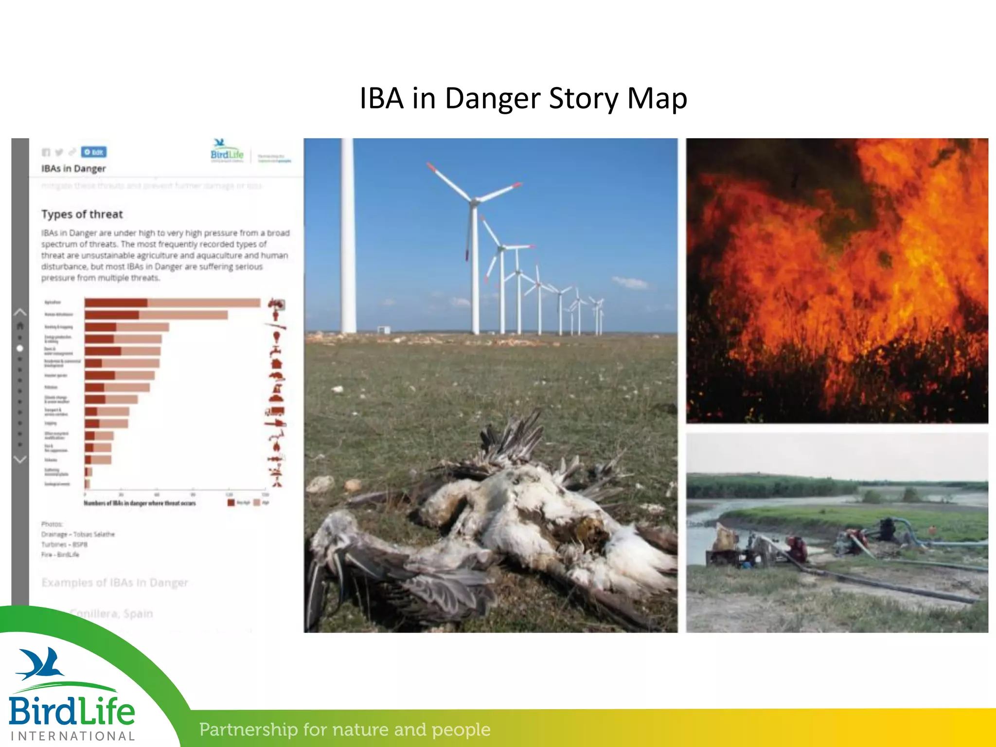 IBA in Danger Story Map
 