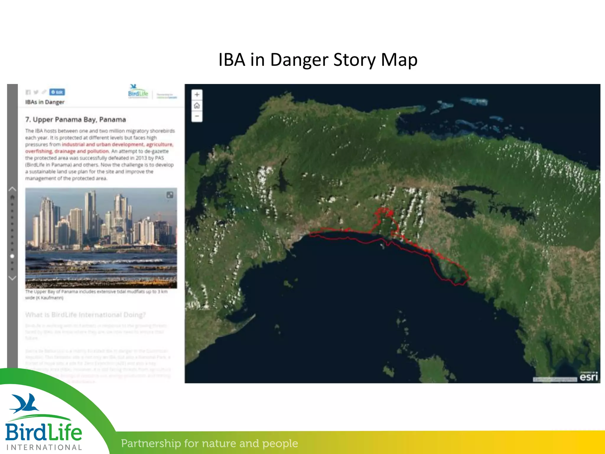 IBA in Danger Story Map
 