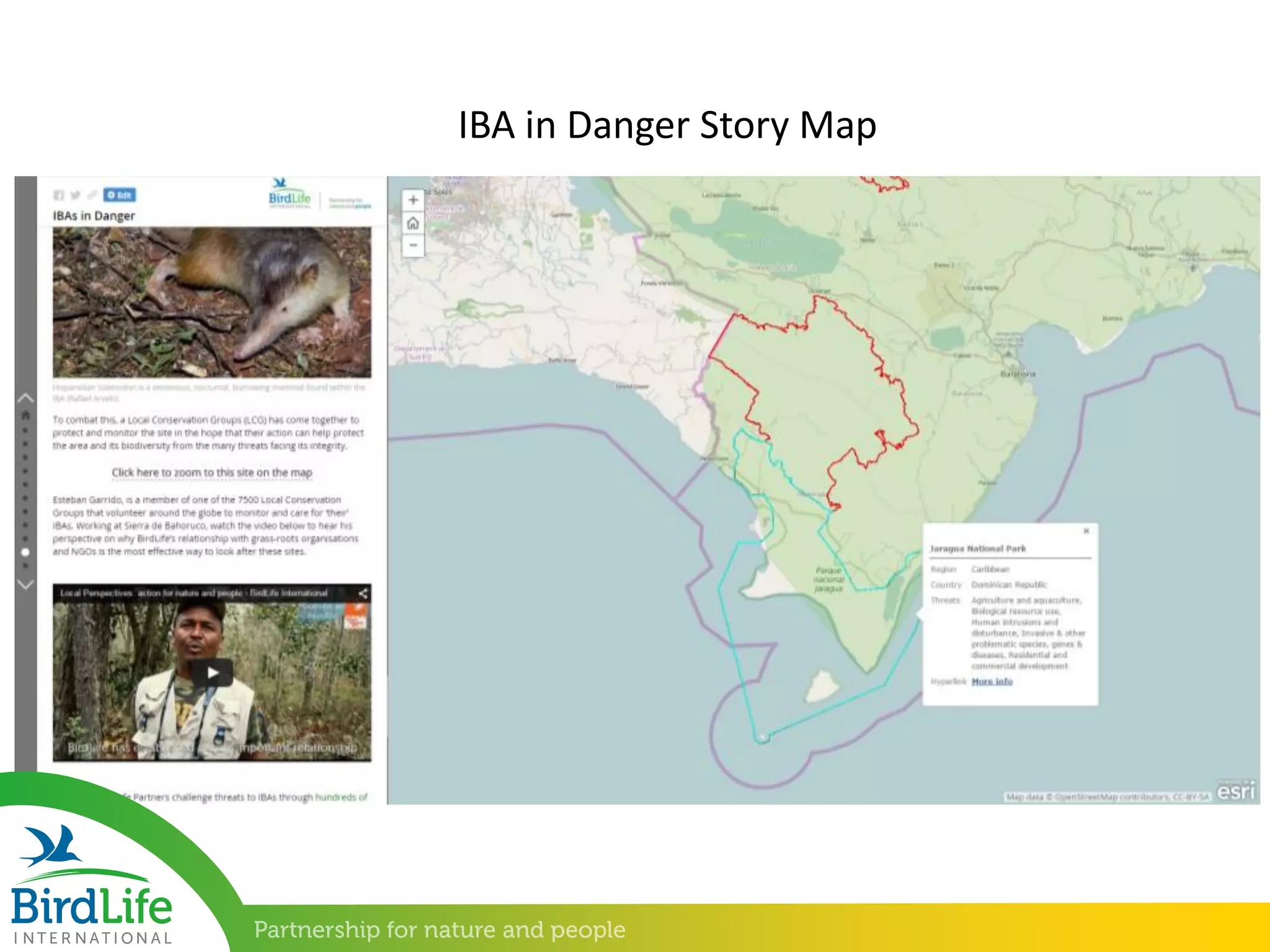 IBA in Danger Story Map
 