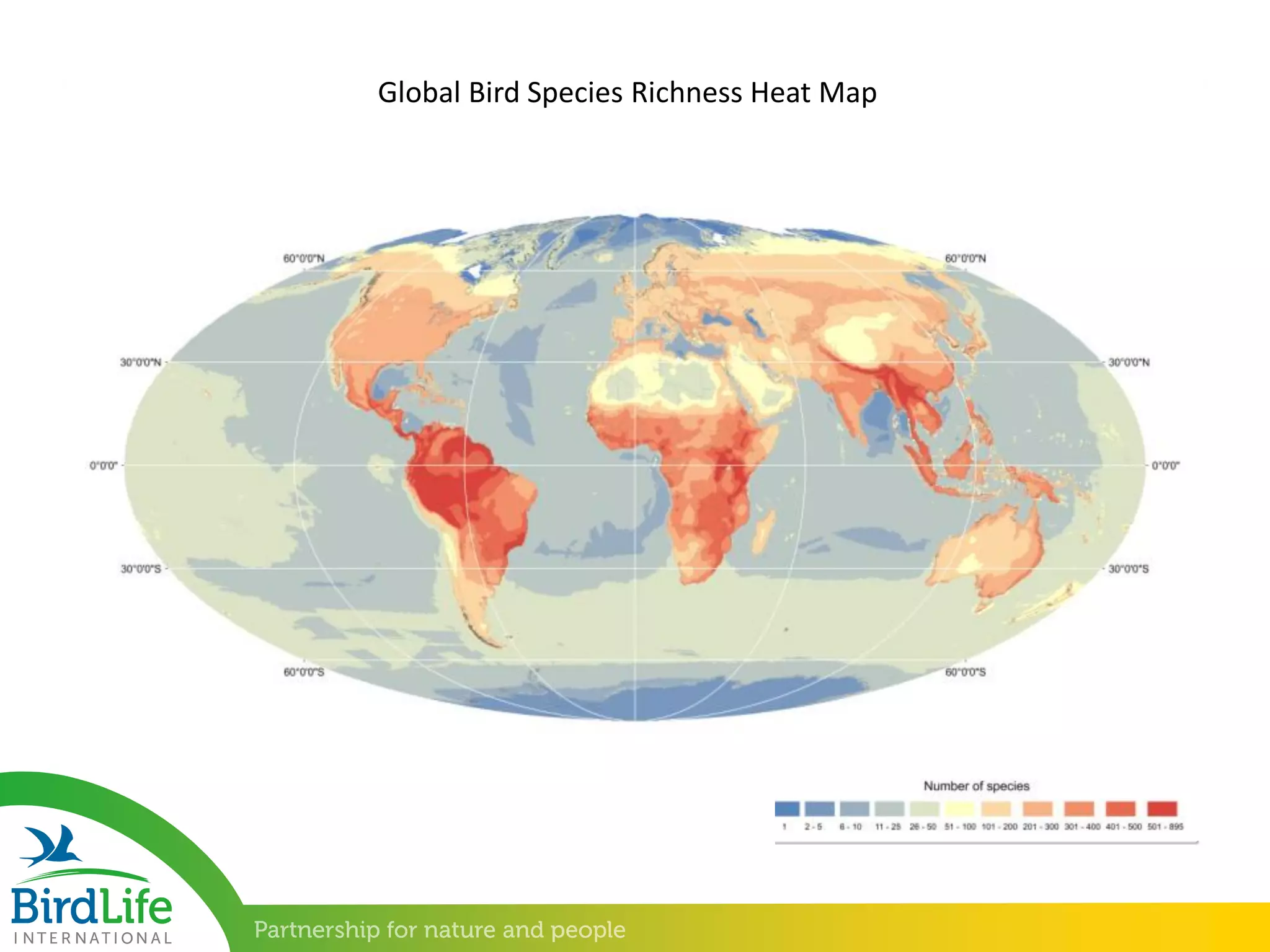 Global Bird Species Richness Heat Map
 