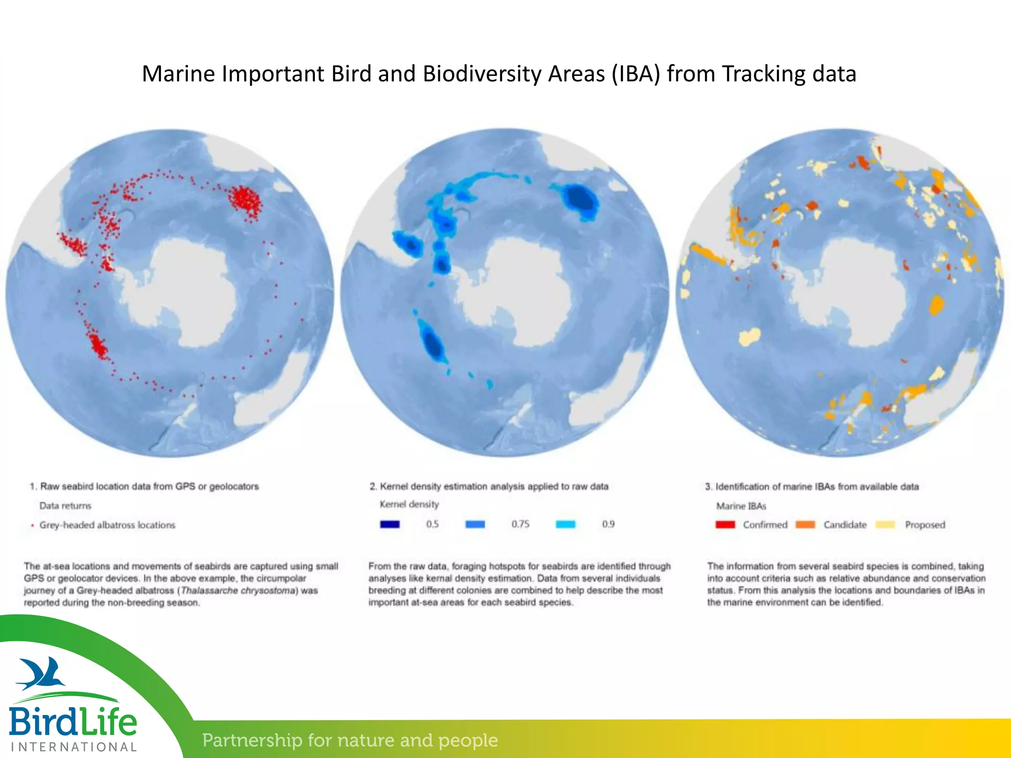 Marine Important Bird and Biodiversity Areas (IBA) from Tracking data
 