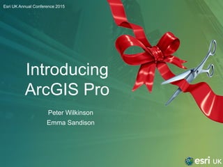 Introducing
ArcGIS Pro
Peter Wilkinson
Emma Sandison
Esri UK Annual Conference 2015
 