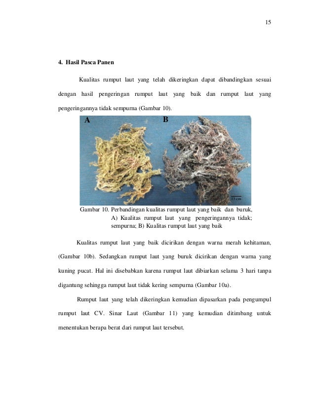 budidaya rumput laut pdf merge tool budidaya rumput laut pdf merge tool