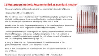Westrgren Rack Comprehensive Guide to ESR, PCV, and Blood Indices Measurement Methods ...