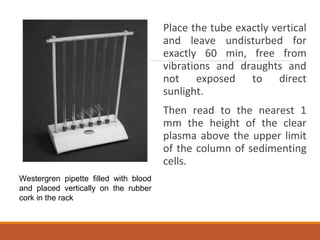 Place the tube exactly vertical
and leave undisturbed for
exactly 60 min, free from
vibrations and draughts and
not exposed to direct
sunlight.
Then read to the nearest 1
mm the height of the clear
plasma above the upper limit
of the column of sedimenting
cells.
Westergren pipette filled with blood
and placed vertically on the rubber
cork in the rack
 