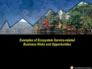 Examples of Ecosystem Service-related Business Risks and Opportunities 