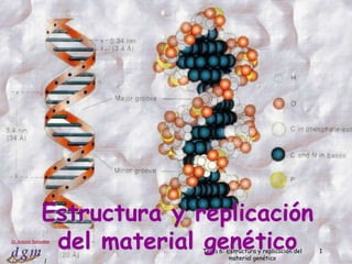 Estructura y replicación
                  del material genético
Dr. Antonio Barbadilla

                               Tema 6: Estructura y replicación del
                                        material genético
                                                                      1
                  1
 