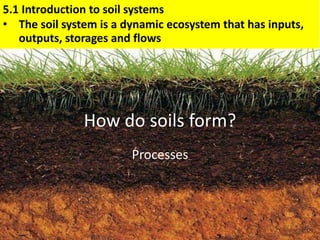 How do soils form?
Processes
5.1 Introduction to soil systems
• The soil system is a dynamic ecosystem that has inputs,
outputs, storages and flows
 
