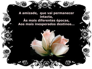 A amizade,  que vai permanecer intacta, Às mais diferentes épocas, Aos mais inesperados destinos... 