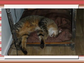 Le besoin des clients
 Présentez le besoin des clients
 Commentez les exigences à satisfaire
 