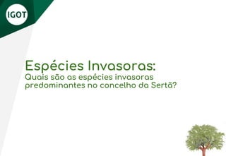Espécies Invasoras:
Quais são as espécies invasoras
predominantes no concelho da Sertã?
 