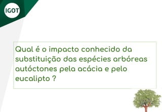 Qual é o impacto conhecido da
substituição das espécies arbóreas
autóctones pela acácia e pelo
eucalipto ?
 