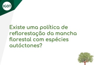 Existe uma política de
reflorestação da mancha
florestal com espécies
autóctones?
 