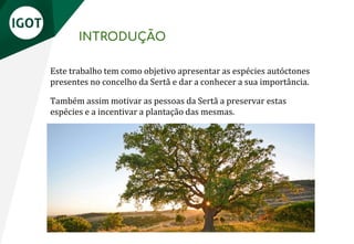 INTRODUÇÃO
Este trabalho tem como objetivo apresentar as espécies autóctones
presentes no concelho da Sertã e dar a conhecer a sua importância.
Também assim motivar as pessoas da Sertã a preservar estas
espécies e a incentivar a plantação das mesmas.
 