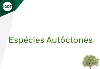 Espécies Autóctones
 