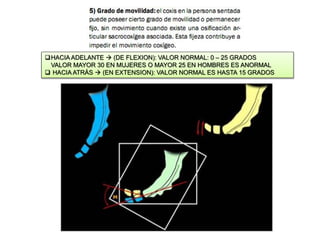 HACIA ADELANTE  (DE FLEXION): VALOR NORMAL: 0 – 25 GRADOS 
VALOR MAYOR 30 EN MUJERES O MAYOR 25 EN HOMBRES ES ANORMAL 
 HACIA ATRÁS  (EN EXTENSION): VALOR NORMAL ES HASTA 15 GRADOS 
 