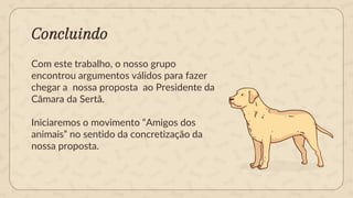 Com este trabalho, o nosso grupo
encontrou argumentos válidos para fazer
chegar a nossa proposta ao Presidente da
Câmara da Sertã.
Iniciaremos o movimento “Amigos dos
animais” no sentido da concretização da
nossa proposta.
Concluindo
 