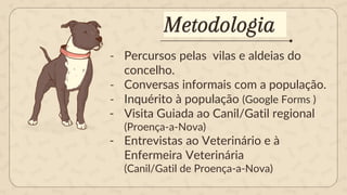 - Percursos pelas vilas e aldeias do
concelho.
- Conversas informais com a população.
- Inquérito à população (Google Forms )
- Visita Guiada ao Canil/Gatil regional
(Proença-a-Nova)
- Entrevistas ao Veterinário e à
Enfermeira Veterinária
(Canil/Gatil de Proença-a-Nova)
Metodologia
 