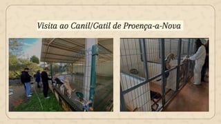 Visita ao Canil/Gatil de Proença-a-Nova
 