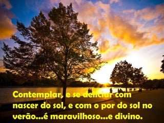 Contemplar, e se deliciar com nascer do sol, e com o por do sol no verão...é maravilhoso...e divino. 