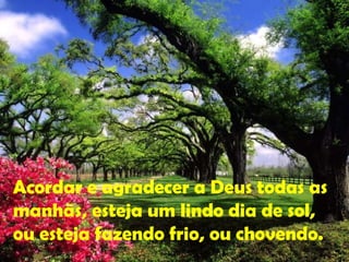 Acordar e agradecer a Deus todas as manhãs, esteja um lindo dia de sol, ou esteja fazendo frio, ou chovendo. 